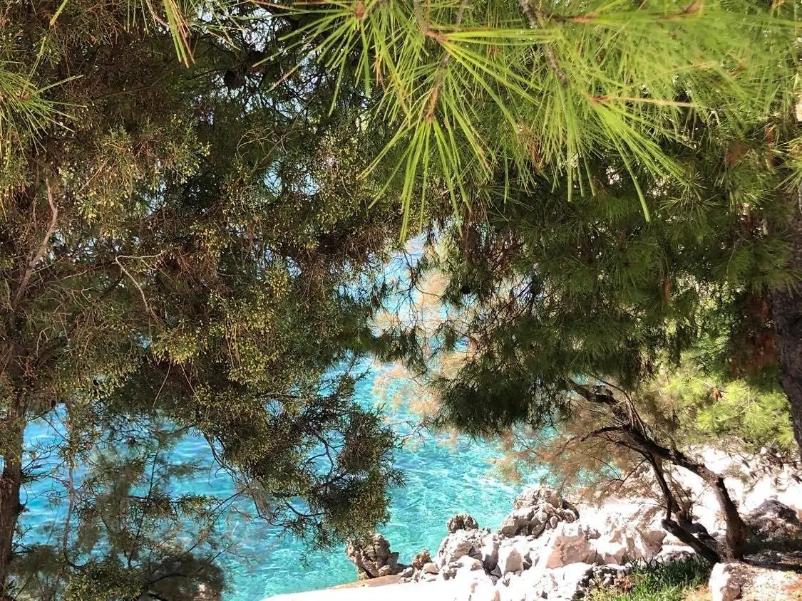 Villa Dani Sea & Pool Apartments Trogir 0*,  Croatia